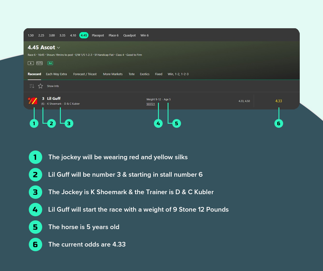 Bet365 Horse Form Overview