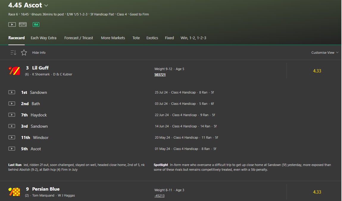 Example of Bet365 horse form expanded